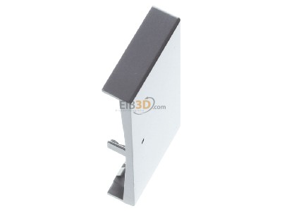 Ansicht oben links Busch Jaeger 6230-20-866 Wippe eds pur Edelstahl 