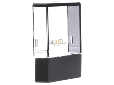 View on the left Berker 80960126 EIB, KNX cover plate for switch anthracite, 
