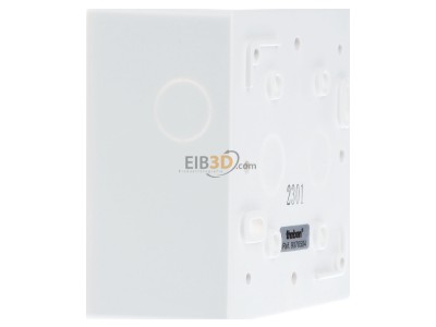 View on the right Theben AP-RahmenLUXA103-200 Surface mounted housing 
