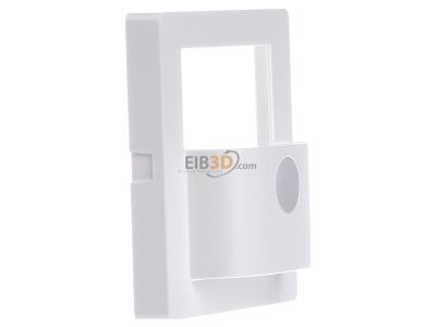 View on the left Berker 80960429 Accessory for motion sensor 
