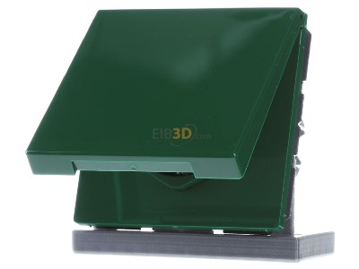Front view Jung LS 1520 BFKL GN Socket outlet (receptacle) 
