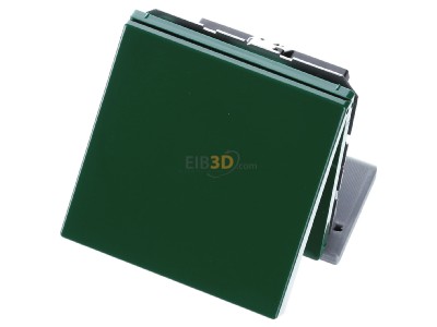 View up front Jung LS 1520 BFKL GN Socket outlet (receptacle) 
