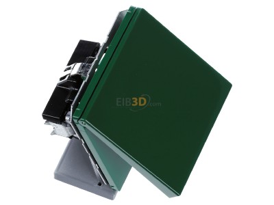 View top left Jung LS 1520 BFKL GN Socket outlet (receptacle) 
