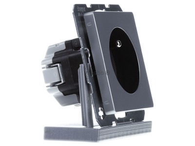 View on the left Berker 6768766084 Socket outlet (receptacle) earthing pin 
