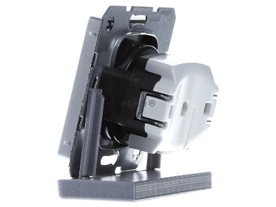 View on the right Berker 6768766084 Socket outlet (receptacle) earthing pin 
