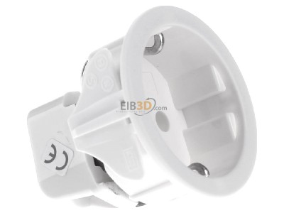 View on the left Berker 418809 Socket outlet (receptacle) 
