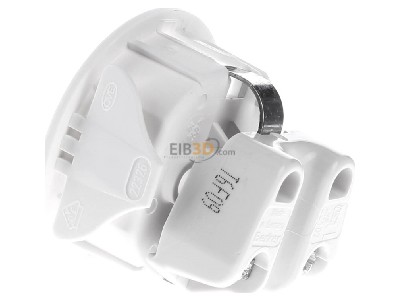 View on the right Berker 418809 Socket outlet (receptacle) 
