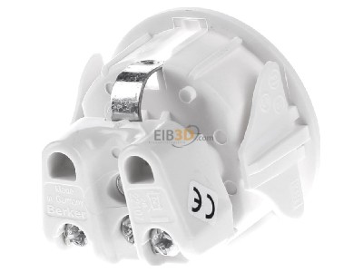 Back view Berker 418809 Socket outlet (receptacle) 
