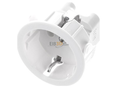 View up front Berker 418809 Socket outlet (receptacle) 
