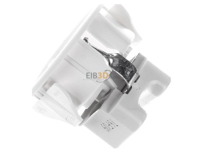 View top right Berker 418809 Socket outlet (receptacle) 
