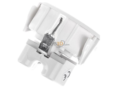 Top rear view Berker 418809 Socket outlet (receptacle) 
