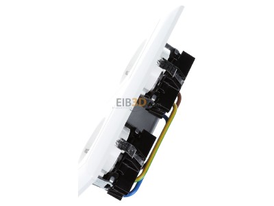 View top right Jung AS 1522 BF WW Socket outlet (receptacle) 
