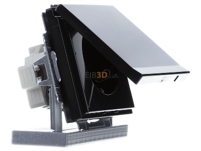 View on the left Busch Jaeger 20 EUKBR-81 Socket outlet (receptacle) 
