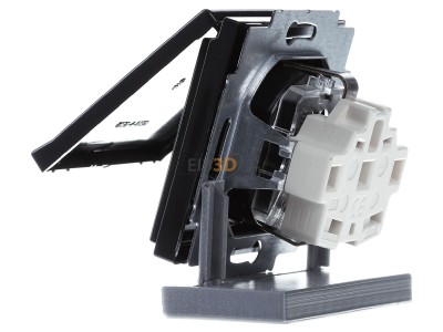 View on the right Busch Jaeger 20 EUKBR-81 Socket outlet (receptacle) 
