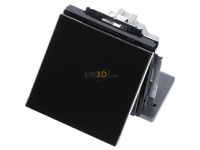 View up front Busch Jaeger 20 EUKBR-81 Socket outlet (receptacle) 
