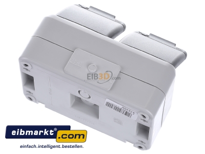 Ansicht oben hinten Elso 445409 Steckdose 2-f.AP44 waage. licht-/basaltgrau 