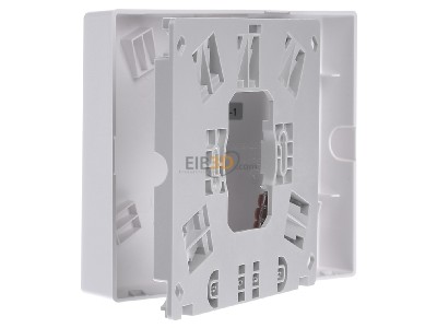 View on the right Merten MEG1011-9019 Appliance connection box surface mounted 
