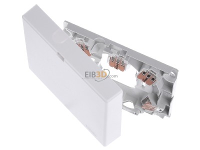 View up front Merten MEG1011-9019 Appliance connection box surface mounted 
