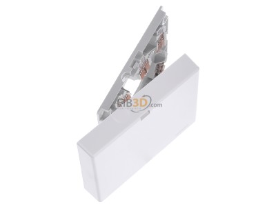 View top left Merten MEG1011-9019 Appliance connection box surface mounted 
