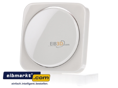 Frontansicht Busch-Jaeger 6599-0-1334 Zentralscheibe ws fr Drehdimmer 2115-212