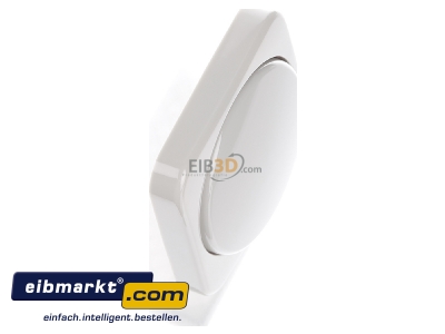 Ansicht oben links Busch-Jaeger 6599-0-1334 Zentralscheibe ws fr Drehdimmer 2115-212