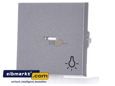 Frontansicht Gira 067426 Wippe Licht alu m.Fenster,System55 