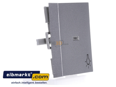 Ansicht links Gira 067426 Wippe Licht alu m.Fenster,System55 