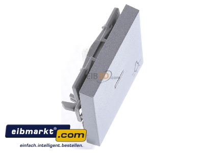 Ansicht oben links Gira 067426 Wippe Licht alu m.Fenster,System55 