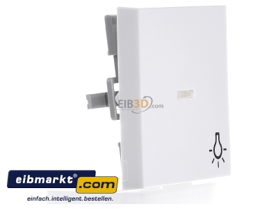 Ansicht links Gira 067427 Wippe Licht rws m.Fenster,System55 