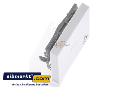 Ansicht oben links Gira 067427 Wippe Licht rws m.Fenster,System55 