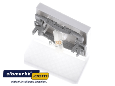 Ansicht oben hinten Gira 067427 Wippe Licht rws m.Fenster,System55 