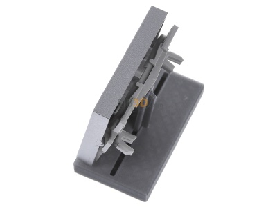 Ansicht oben rechts Gira 067926 Wippe Klingel alu m.Schriftf.,System55 