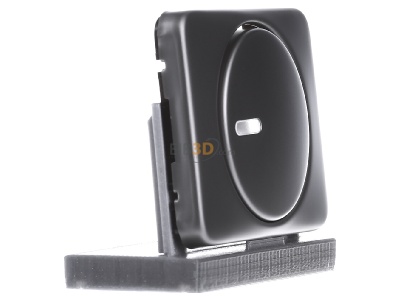 Ansicht links Busch Jaeger 6540-20 Zentralscheibe pla fr Drehdimmer 