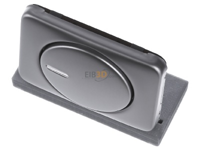 Ansicht oben vorne Busch Jaeger 6540-20 Zentralscheibe pla fr Drehdimmer 