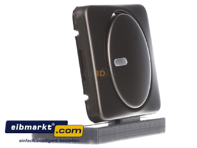 Ansicht links Busch-Jaeger 6599-0-1490 Zentralscheibe brz fr Drehdimmer 6540-21