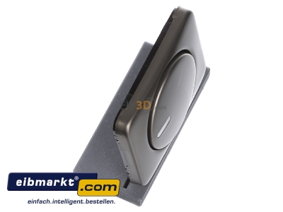 Ansicht oben links Busch-Jaeger 6599-0-1490 Zentralscheibe brz fr Drehdimmer 6540-21