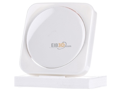 Frontansicht Busch-Jaeger 2115-214 Zentralscheibe aws fr Drehdimmer 