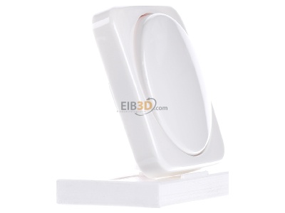 Ansicht links Busch-Jaeger 2115-214 Zentralscheibe aws fr Drehdimmer 
