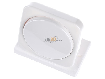 Ansicht oben vorne Busch-Jaeger 2115-214 Zentralscheibe aws fr Drehdimmer 