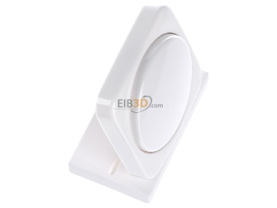 Ansicht oben links Busch-Jaeger 2115-214 Zentralscheibe aws fr Drehdimmer 