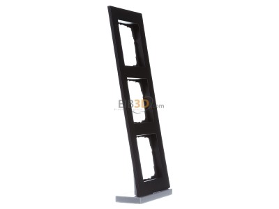 View on the left Gira 0213095 Frame 3-gang black 
