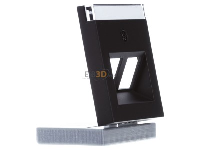 View on the left Gira 2640005 Central cover plate Modular Jack 
