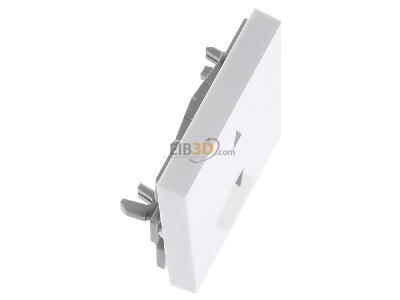 Ansicht oben links Gira 861603 Wippe rws/gl Pfeile rauf/runter 
