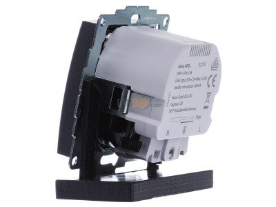 View on the right Berker 48031606 Socket outlet (receptacle) 
