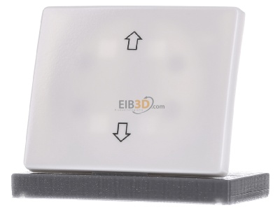 Frontansicht Berker 14050369 Wippe pws EIB 