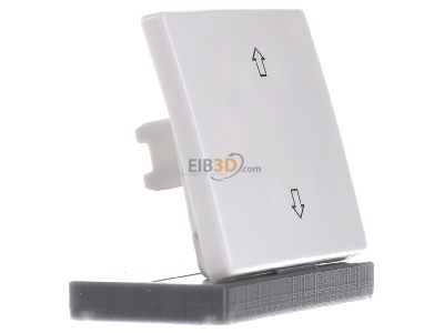 Ansicht links Berker 14050369 Wippe pws EIB 