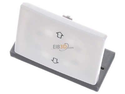 Ansicht oben vorne Berker 14050369 Wippe pws EIB 