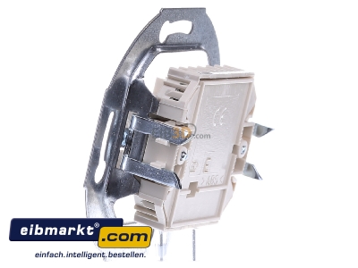 View on the right Gira 019000 Twisted pair Data outlet 
