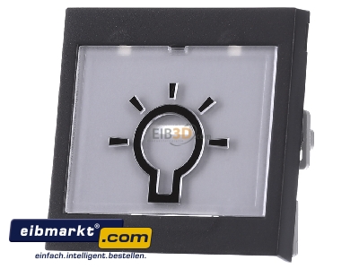 Frontansicht Gira 021628 Wippe Licht anth System55 