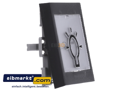 Ansicht links Gira 021628 Wippe Licht anth System55 